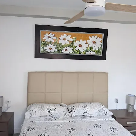 Loft Floor5 Nl Almeria